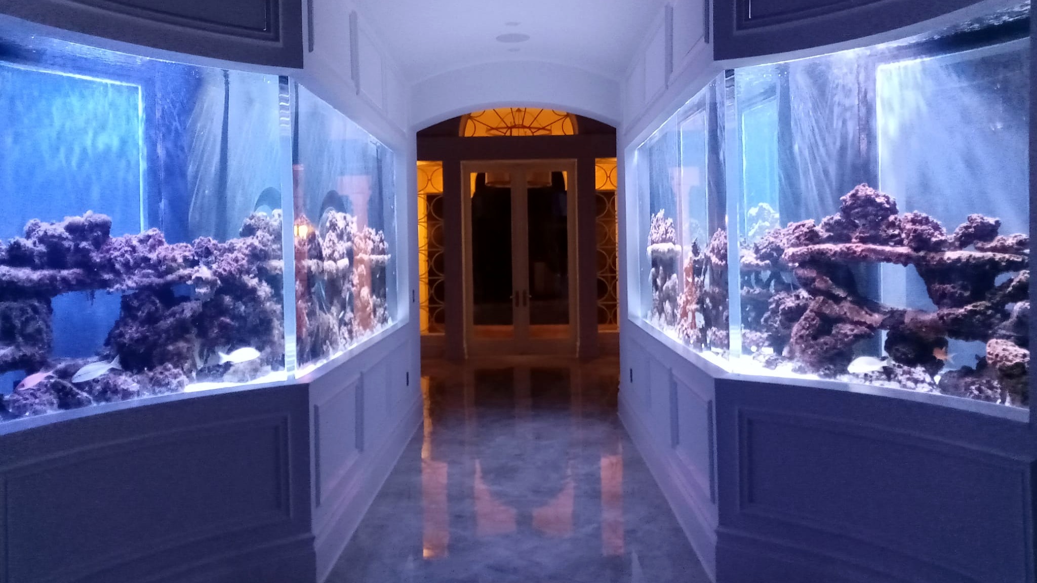 Twin custom saltwater aquariums integrated into an elegant Central Florida home