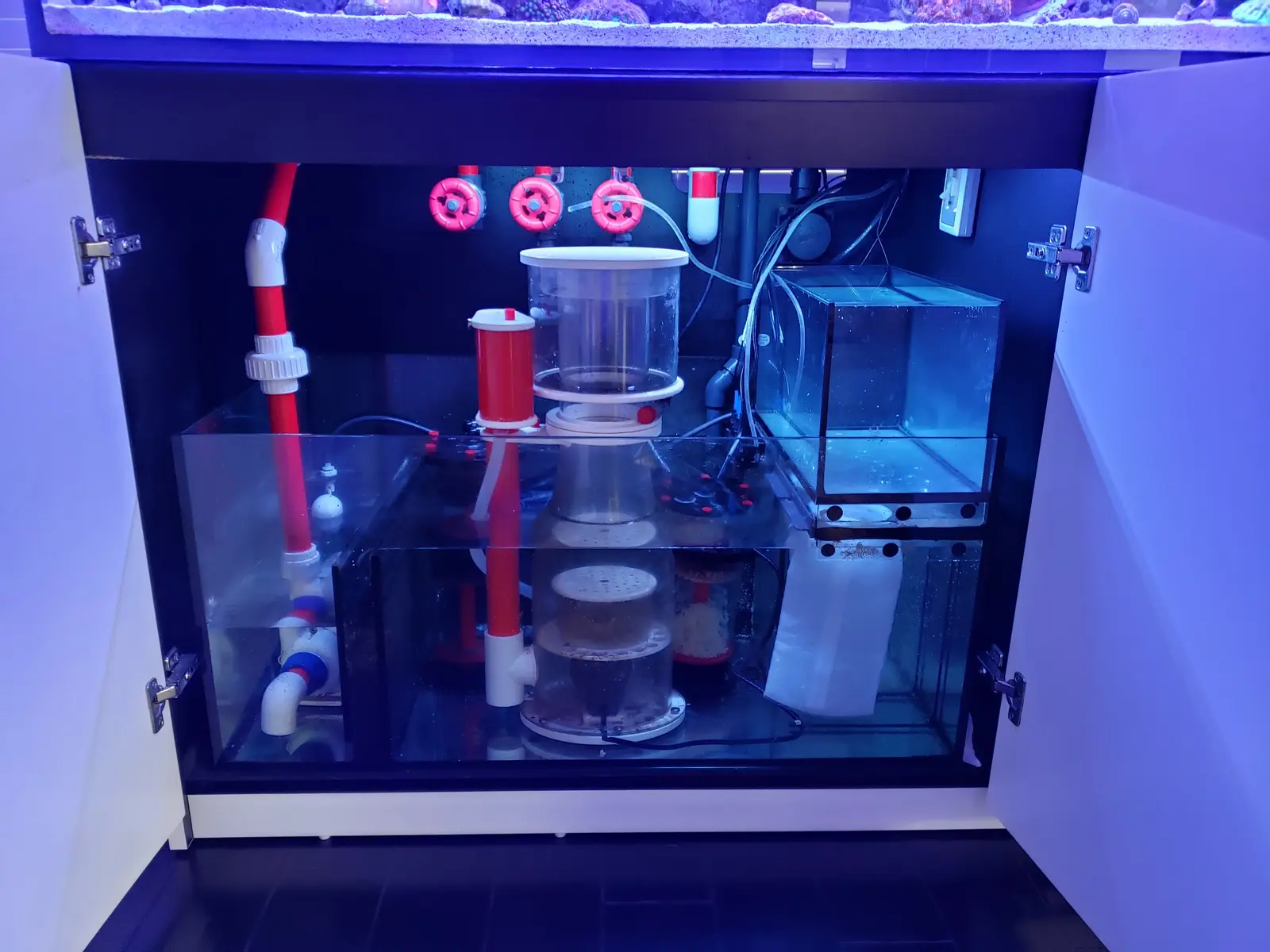 Aquarium filtration equipment and organized plumbing
