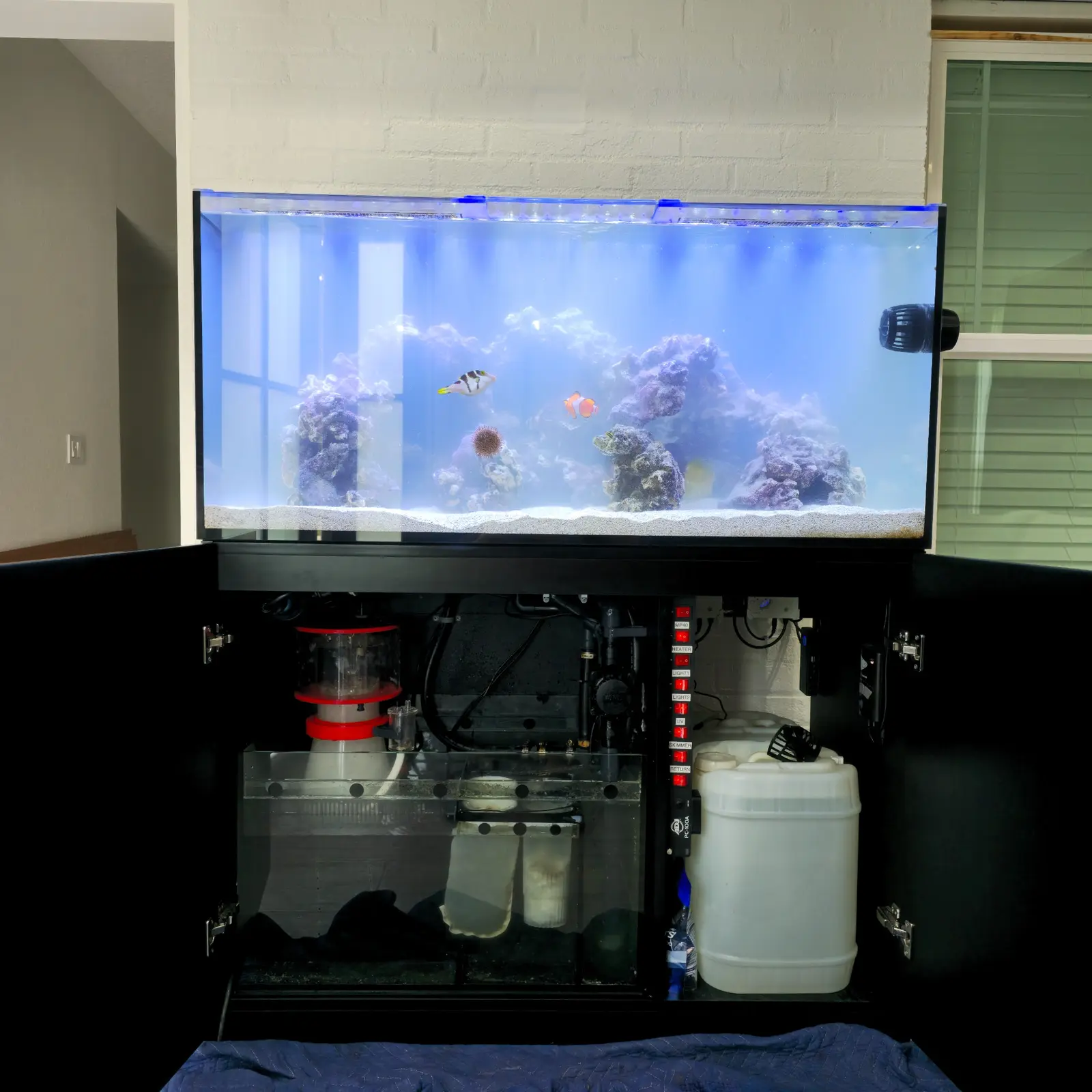 Aquarium needing cleaning and restoration