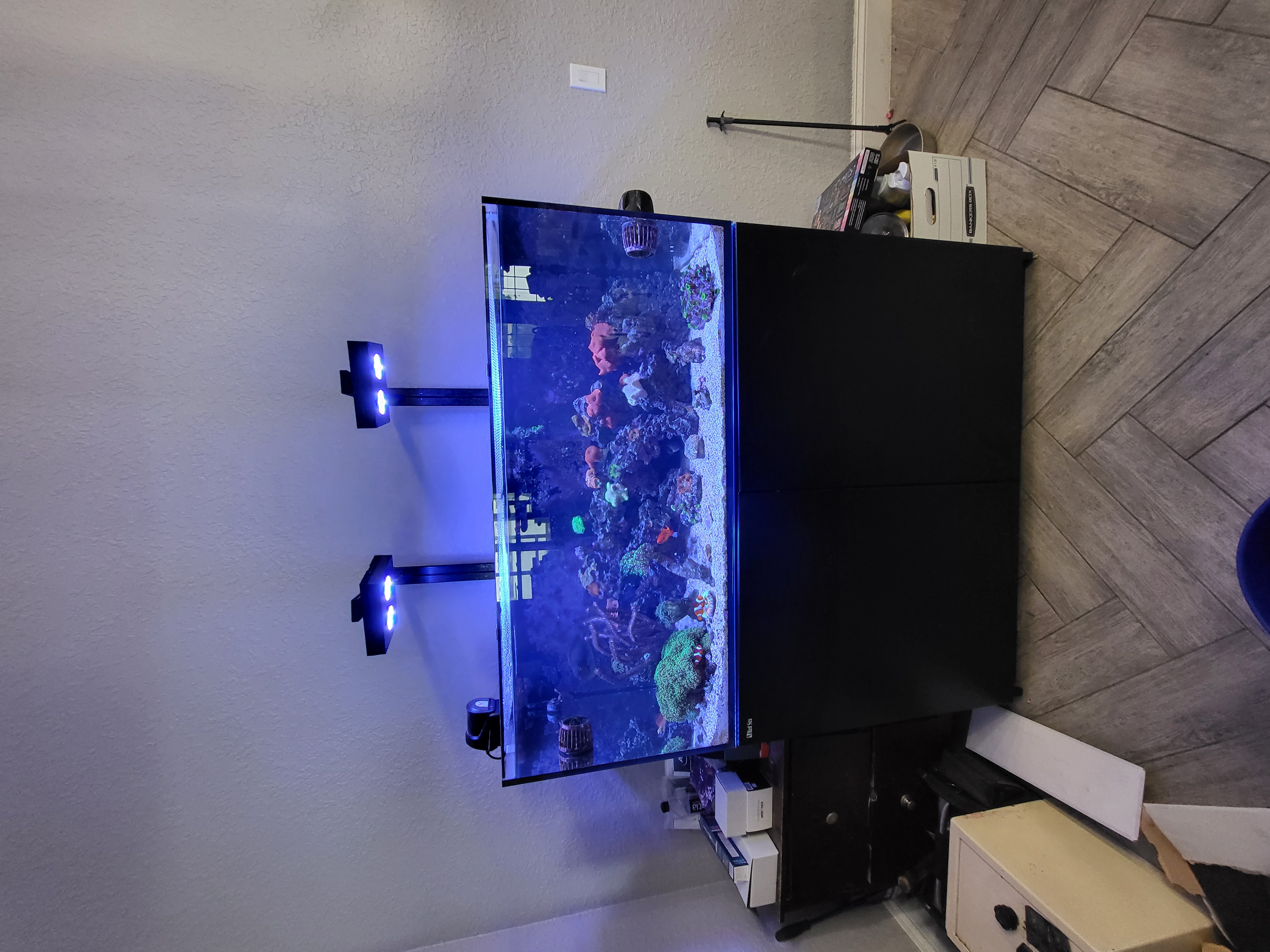 The original aquarium before the in-wall transformation